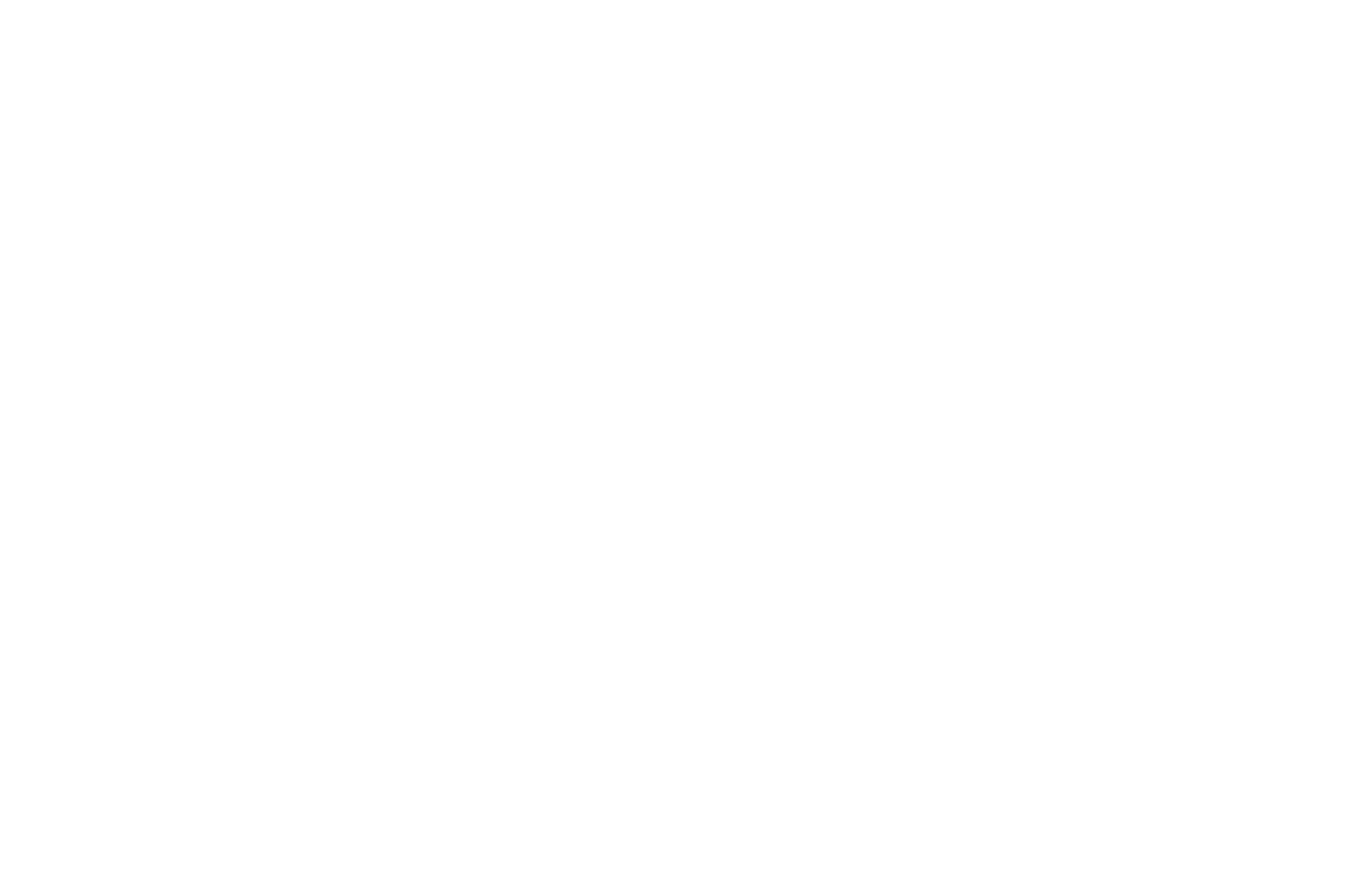 VOLT SKG